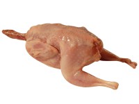 Prepelica na mäso